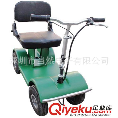 自行車+電動車 老年電動車 老年代步車 老年電動汽車 四輪電動代步車原始圖片2