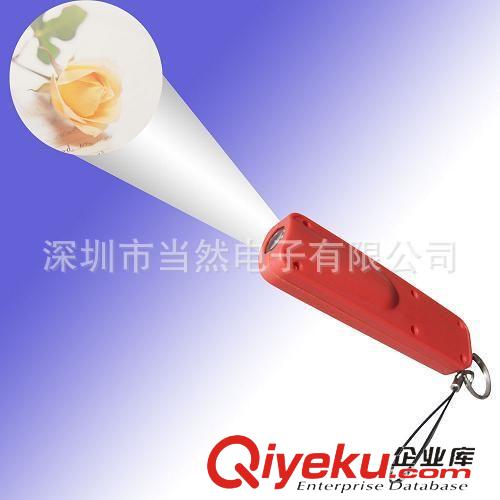 LED鑰匙扣系列 供應(yīng)投影鑰匙扣，小電筒，塑膠投影鑰匙扣，