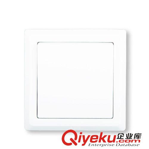 開關插座 【ABB開關】德逸系列/白色/單聯/一位/一開單控 AE101;10072353原始圖片2