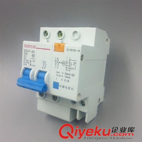 DZ47LE漏電斷路器 供應(yīng)2P63漏電斷路器 DZ47LE漏電保護(hù)器 樂(lè)清電氣廠家批發(fā)代理原始圖片2