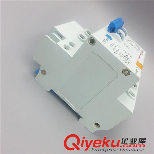 DZ47LE漏電斷路器 供應(yīng)2P63漏電斷路器 DZ47LE漏電保護(hù)器 樂(lè)清電氣廠家批發(fā)代理原始圖片3