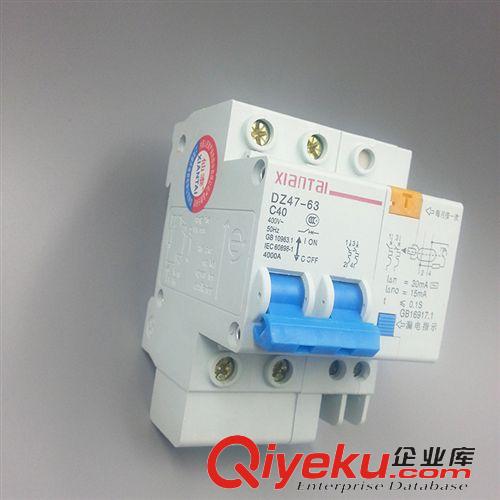 DZ47LE漏電斷路器 供應(yīng)2P10漏電斷路器 DZ47LE漏電保護(hù)器 樂(lè)清電氣廠家批發(fā)代理