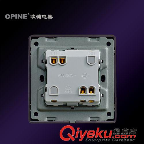 按系列分類 OPINE電器開關(guān)面板 不銹鋼面板二位墻壁開關(guān)插座 二開單控開關(guān)原始圖片3
