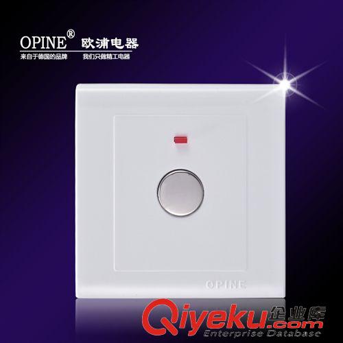 電子開關類 OPINE觸摸延時開關 觸摸開關 觸摸感應開關 觸摸墻壁開關明裝開關