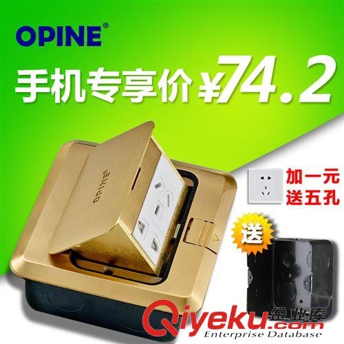 電工附件 地插【企業(yè)集采】 五孔銅地插 地面插座防水地插 地插廠家 地插座原始圖片2