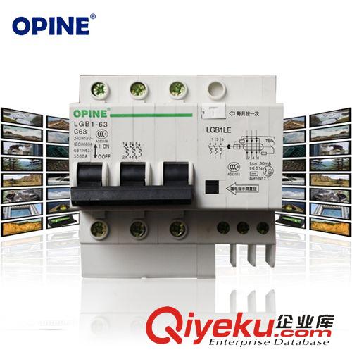 電工附件 OPINE家用保護器小型斷路器4PLE 63A家用空氣開關總開關電閘漏J