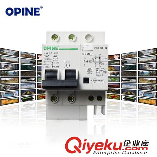 電工附件 OPINE家用保護器 小型斷路器2PLE 40A家用空氣開關帶漏電