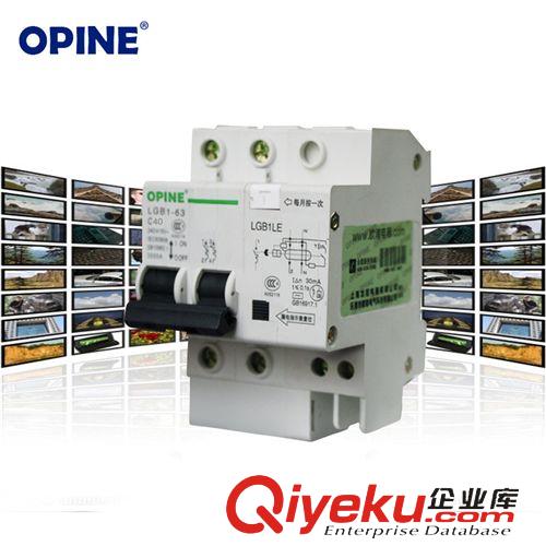 電工附件 OPINE家用保護器 小型斷路器2PLE 40A家用空氣開關帶漏電原始圖片2