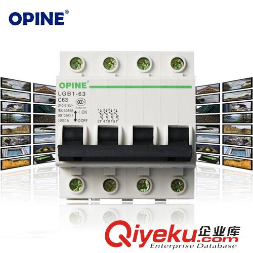 電工附件 OPINE家用保護器小型斷路器4P63A家用空氣開關總開關電閘LGB163J