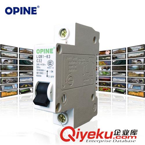 電工附件 OPINE家用保護(hù)器小型斷路器家用空氣開關(guān)總開關(guān)電閘LGB1-63 J原始圖片2