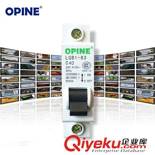 電工附件 OPINE家用保護器小型斷路器家用空氣開關總開關電閘LGB1-63j