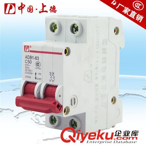 塑殼式斷路器 斷路器廠家 DZ47-63/2P小型斷路器/C32A塑殼斷路器 家用斷路器