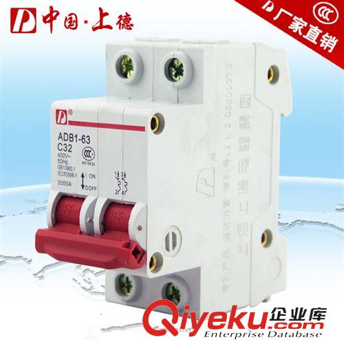 塑殼式斷路器 斷路器廠家 DZ47-63/2P小型斷路器/C32A塑殼斷路器 家用斷路器