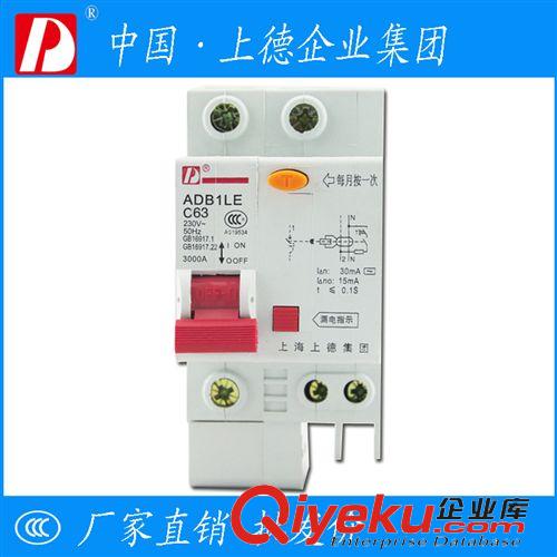 漏電斷路器 廠家直銷 DZ47LE-63/1P C63A優質小型漏電斷路器 家用漏電保護器原始圖片2