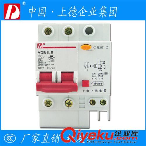 漏電斷路器 上德小型漏電保護器DZ47LE 2P/63A 漏電斷路器 家用照明漏電保護原始圖片2