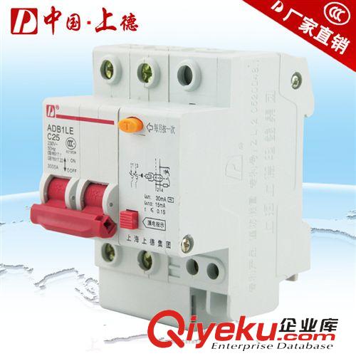 漏電斷路器 上德小型漏電保護器DZ47LE 2P/63A 漏電斷路器 家用照明漏電保護