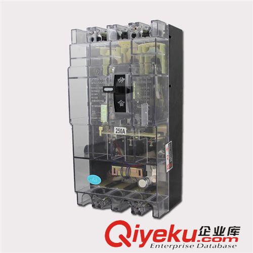 漏電斷路器 上德集團(tuán) DZ20LE-250/4300漏電斷路器/透明蓋保護(hù)器 廠家直銷原始圖片2