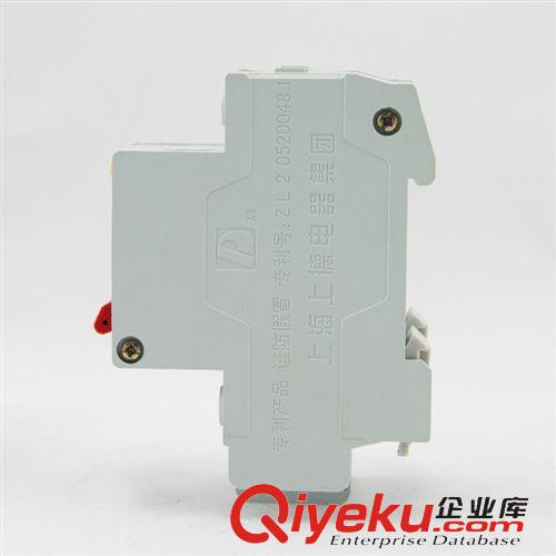 漏電斷路器 1P斷路器 DZ47LE-63/C25Azp小型漏電斷路器 漏電過載保護器批發原始圖片3