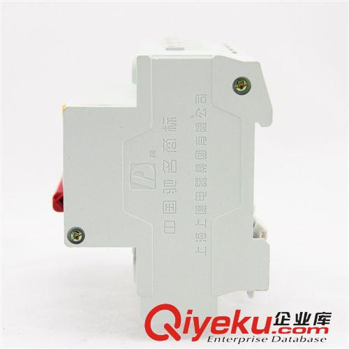 漏電斷路器 上德集團 DZ47LE-63/4P C20A小型漏電斷路器 電路漏電過載保護器原始圖片3