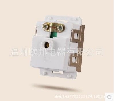 墻壁開關118型 X2系列 西門子墻壁開關118香檳色不銹鋼拉絲 電視模塊原始圖片2