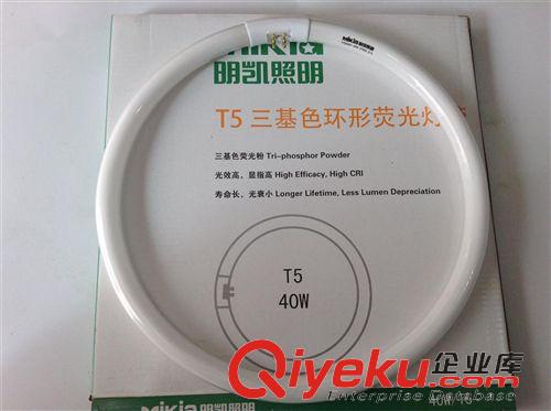+節能燈 LED 燈管 鎮流器 專業批發22W LED環管 LED貼片燈 替代傳統40W環管