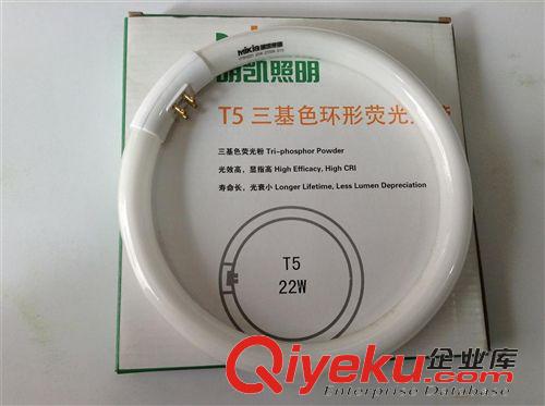 +節(jié)能燈 LED 燈管 鎮(zhèn)流器 太原志剛五交化 廠家直銷 純?nèi)h(huán)管40W  白光 暖光