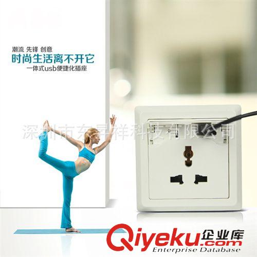 單USB充電插座 東昇祥USB充電插座廠家批發(fā)帶USB電源墻壁插座86型創(chuàng)意插座轉(zhuǎn)換器