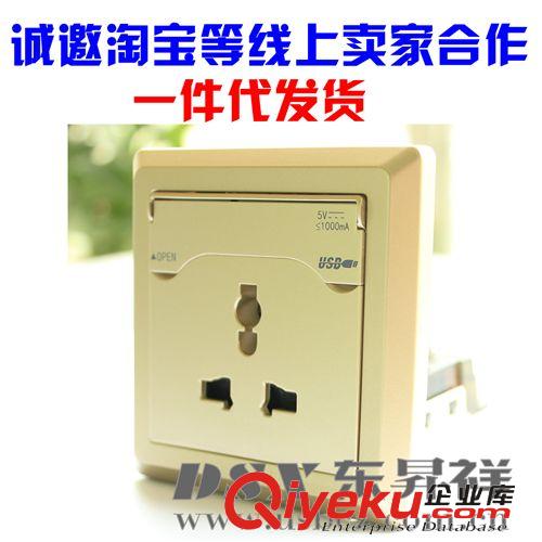 單USB充電插座 DSX東昇祥USB充電插座招淘寶代理一件發(fā)貨提供數(shù)據(jù)包USB創(chuàng)意插座