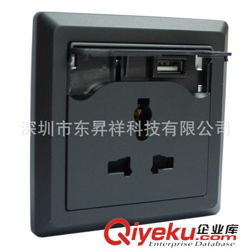 單USB充電插座 USB充電墻壁插座 手機(jī)充電插座 帶USB充電接口插座（香檳金色）