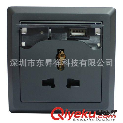 單USB充電插座 USB充電墻壁插座 手機(jī)充電插座 帶USB充電接口插座（香檳金色）