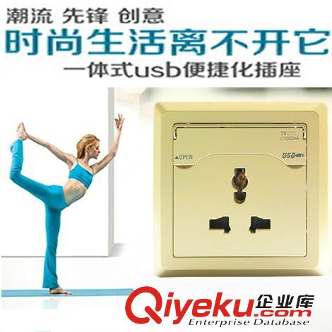 單USB充電插座 USB wall socket Charges ipad 2/iphone 4s/other USB Devices