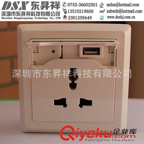 單USB充電插座 USB wall socket Charges ipad 2/iphone 4s/other USB Devices