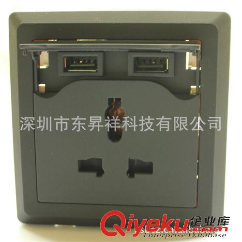 雙USB充電插座 墻壁插座，多功能插座，USB墻壁插座，2.1A雙USB充電插座帶夜燈