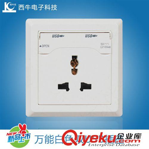 墻壁插座 USB充電器 創(chuàng)意插座 雙USB墻壁插座 國(guó)際通用 廠家直銷 西牛旺