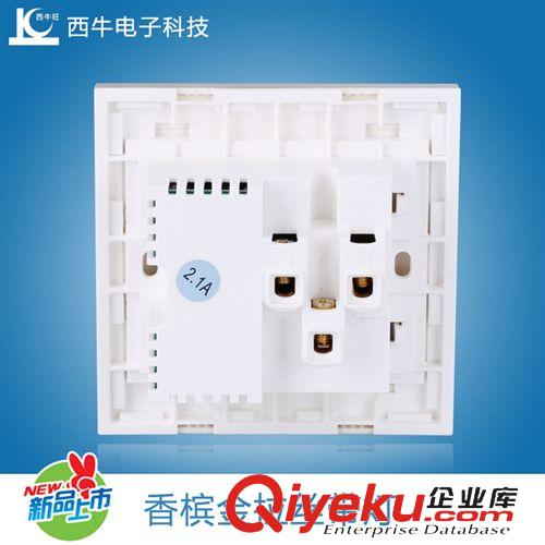 2.1A  USB墻壁插座 【新品上市】USB墻壁插座 帶小夜燈、開關(guān)的USB插座 gd奢華大氣