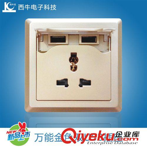 2.1A  USB墻壁插座 雙USB充電墻壁插座　2100MA的充電墻壁插座　暗裝帶蓋的{wn}插座