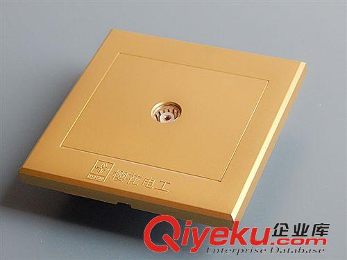 香檳金系列 香檳金電視墻壁插座 品牌插座 網(wǎng)絡(luò)電器電源插座 家用TV插座