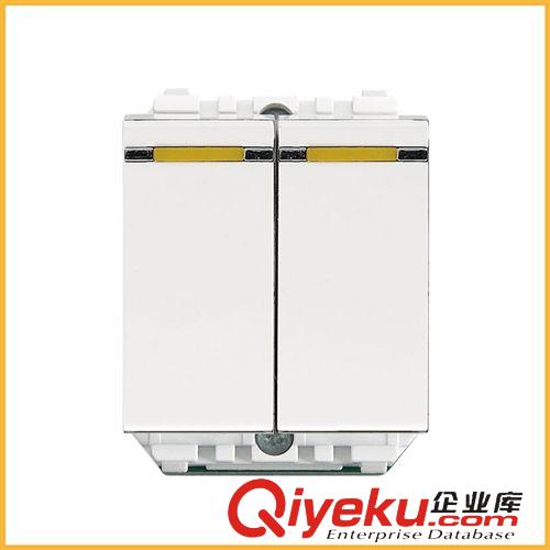 墻壁開關（120型） 廠家直銷白色時尚120型雙聯(lián)雙生 家裝款墻壁開關 工程款開關面板