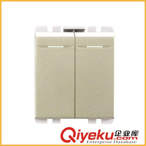 開關插座（118型） 廠家tj批發 118型暗裝功能件HR18H-008雙聯雙生開關（大翹板）原始圖片2
