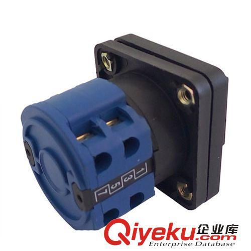 轉(zhuǎn)換開關(guān) 賽普供應(yīng)優(yōu)質(zhì)LW28SP-20/2電機(jī)組合調(diào)速開關(guān)  檔位旋轉(zhuǎn)開關(guān)原始圖片3