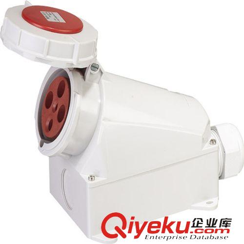 工業(yè)插座 賽普直銷AC電源插座小 家電電源插座 充電插座 法式插座原始圖片2