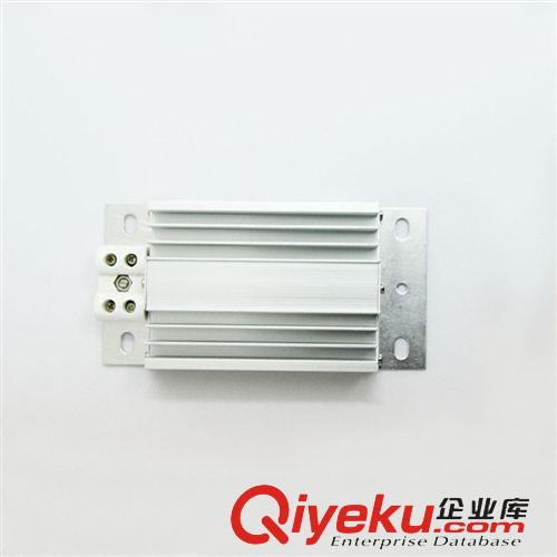 加熱器 【廠家熱賣】DJR-A175W加熱器 ptc加熱器 機(jī)柜加熱器 電輔加熱器原始圖片3