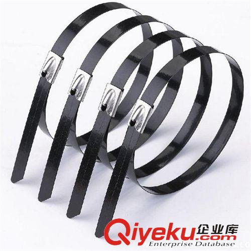 不繡鋼扎帶 浙江樂清DAREN-IT噴塑不銹鋼扎帶 彩色不銹鋼扎帶 電纜船用扎帶原始圖片2