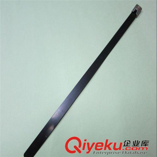 不繡鋼扎帶 tj直銷  可退式 可松式不銹鋼扎帶原始圖片3