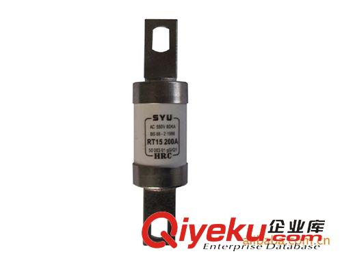 熔斷器 【賽普供應(yīng)】HRC螺桿連接式快速熔斷器 低壓熔斷器 保險(xiǎn)熔斷體原始圖片2