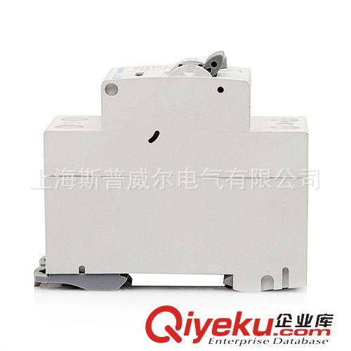 斷路器 saipwell/家用漏電保護(hù)器 電磁式漏電斷路器 40A原始圖片2