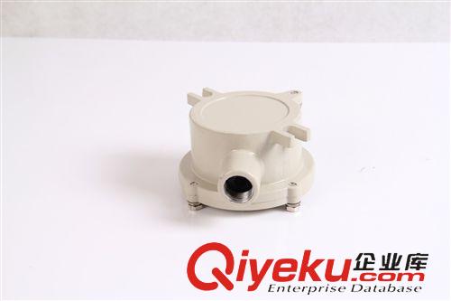 防爆穿線盒 廠家低價(jià)批發(fā)AH-A防爆盒  可定做防爆穿線盒