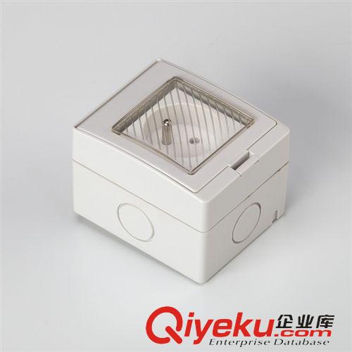 插頭插座系列 賽普供應(yīng) 明裝防水墻壁插座 防水防潮浴室法式插座SPL-FR原始圖片2