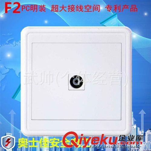 F2明裝 廠家直銷 專利明裝墻壁開關插座 全PC面板 賓利F2明裝電腦插座