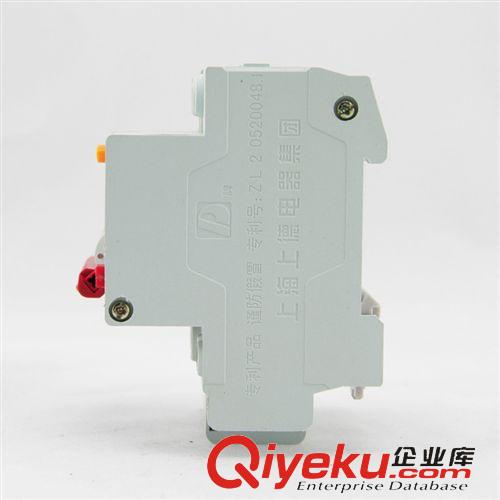 DZ47斷路器 愛德利供應DZ47LE-63/2P C32A優(yōu)質小型漏電斷路器 漏電保護器原始圖片3